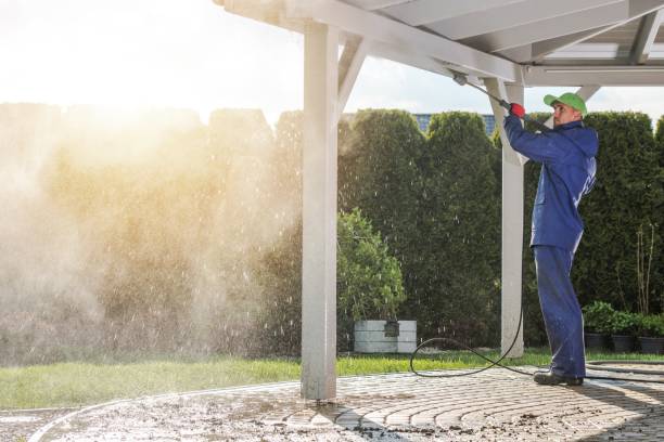 Best Fleet Vehicle Washing  in Roanoke, AL